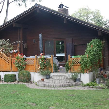 Ferienhaus Buchenblick Ankelohe エクステリア 写真